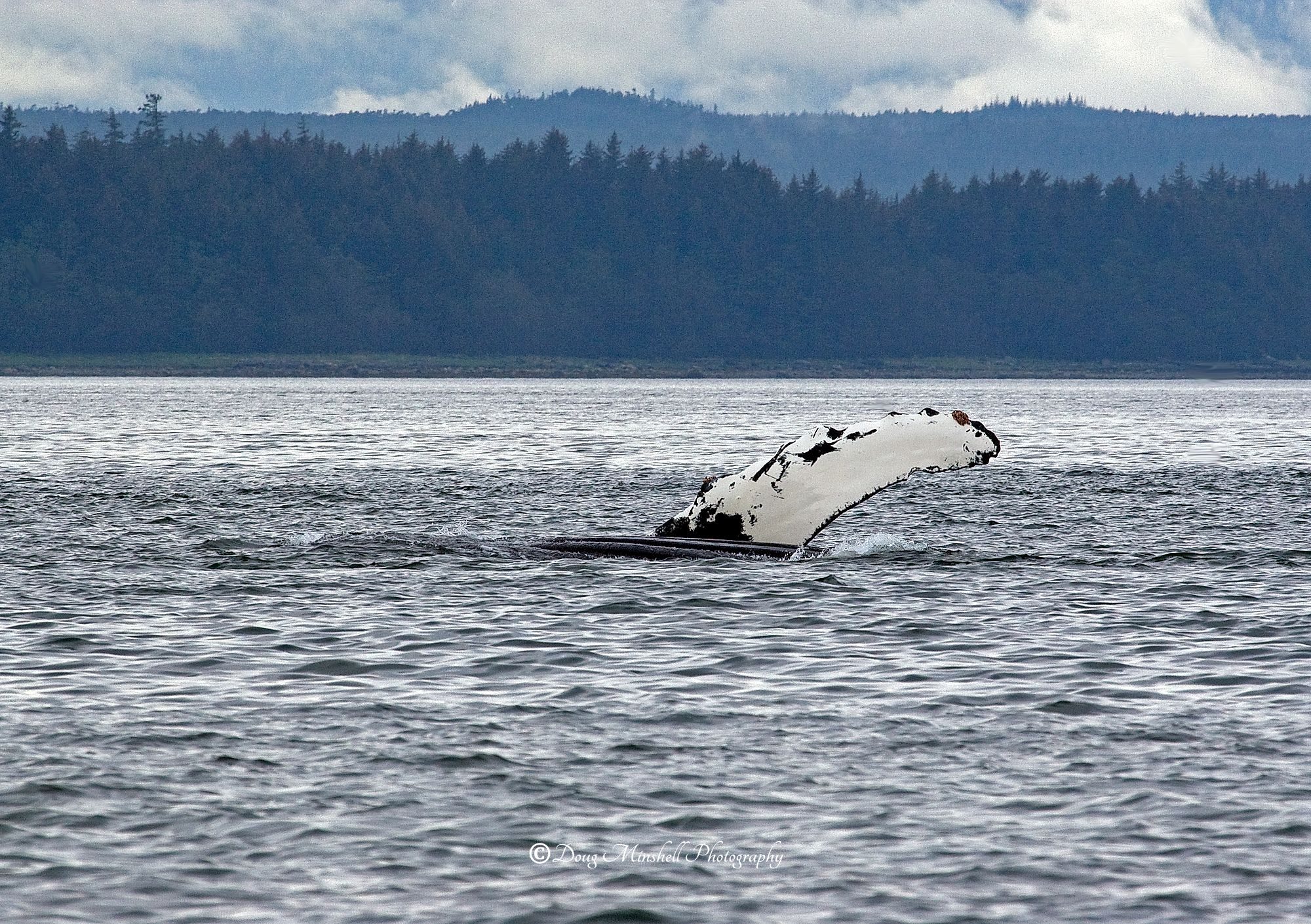 Breach in the Passage