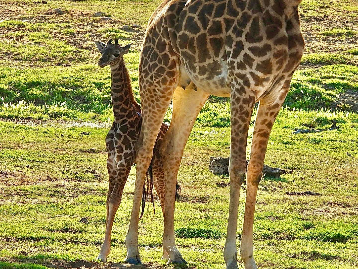 Baby and Mom