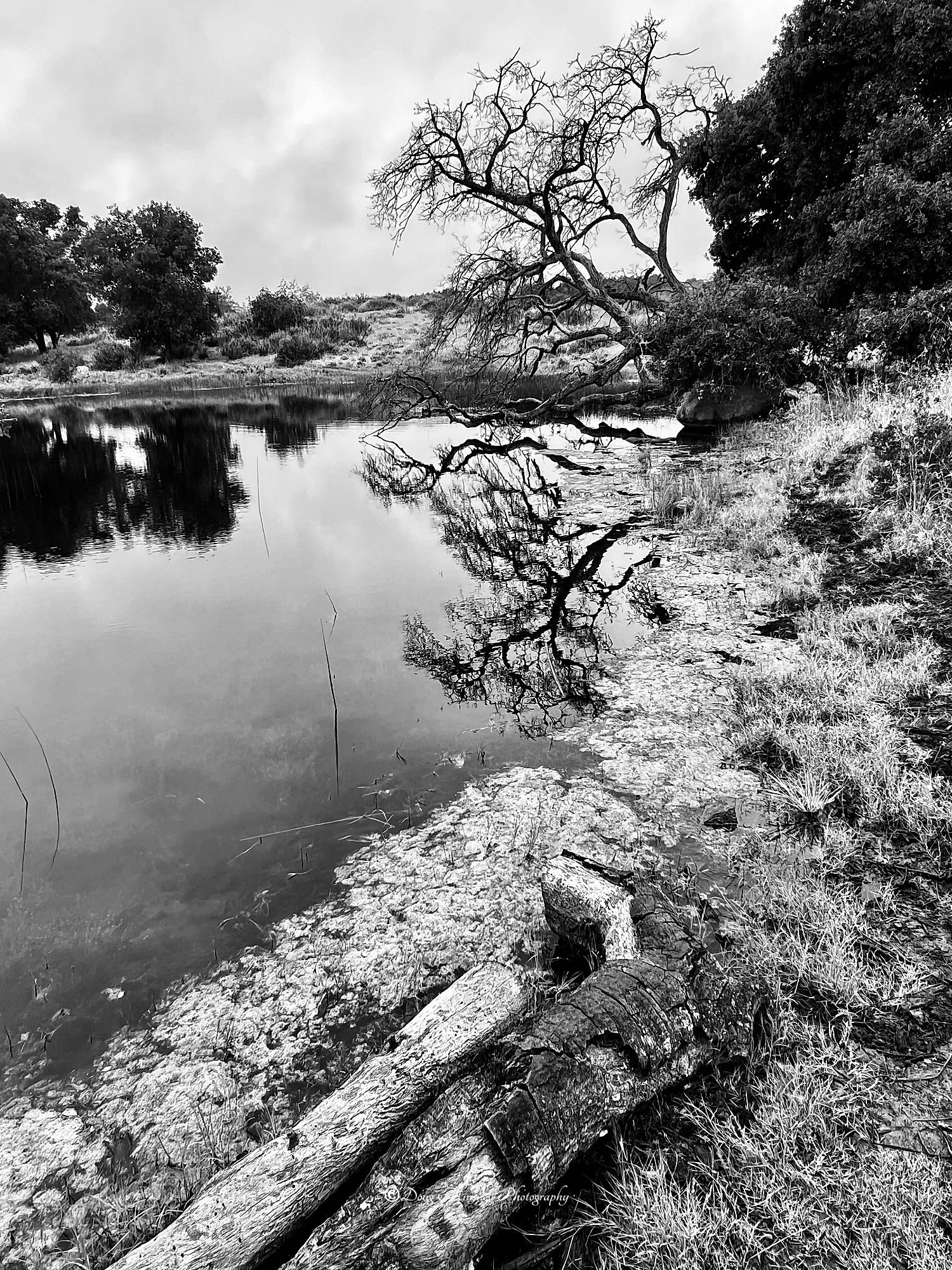 Nature and wildlife photograph