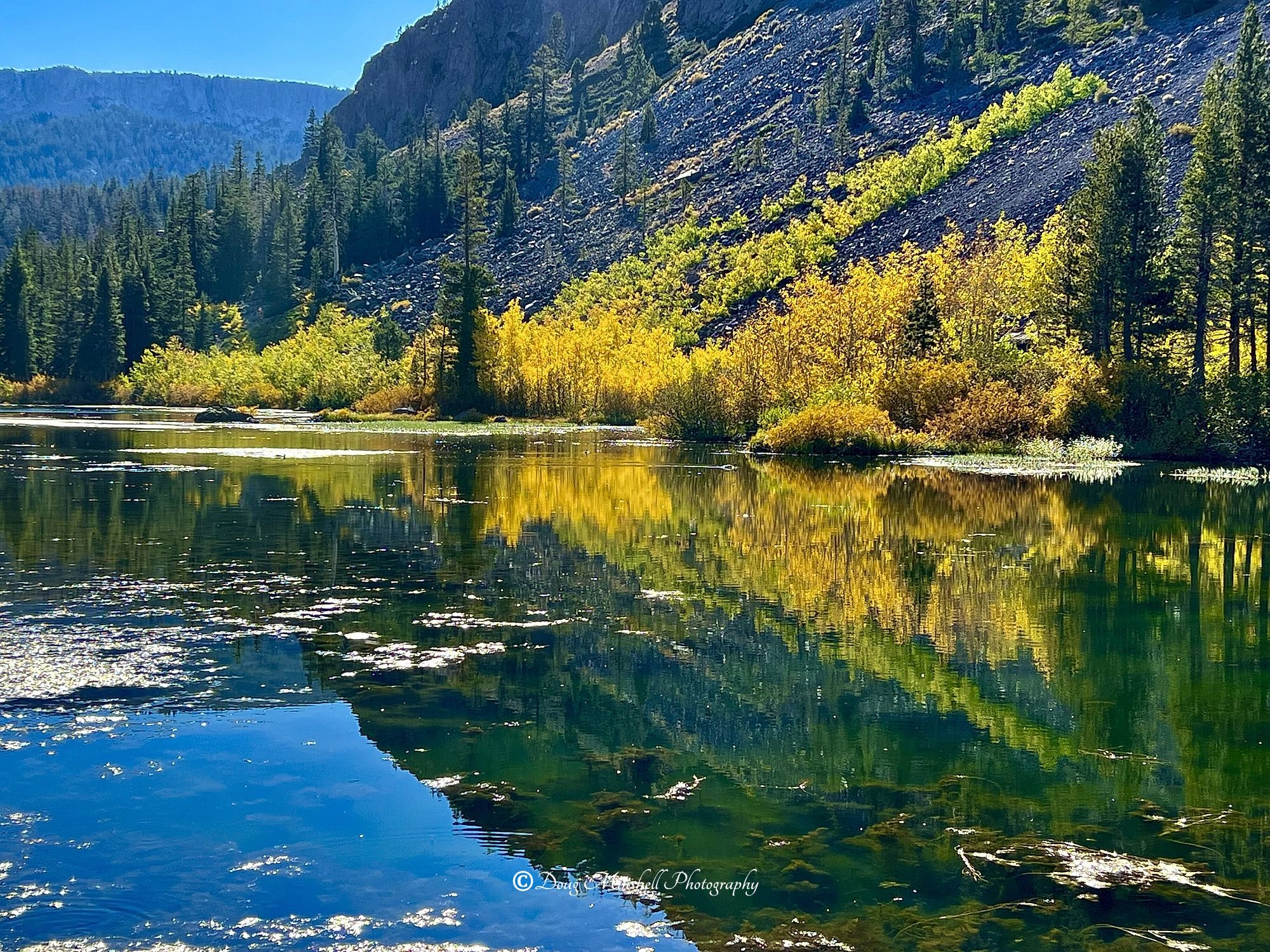 Twin Lakes Gold