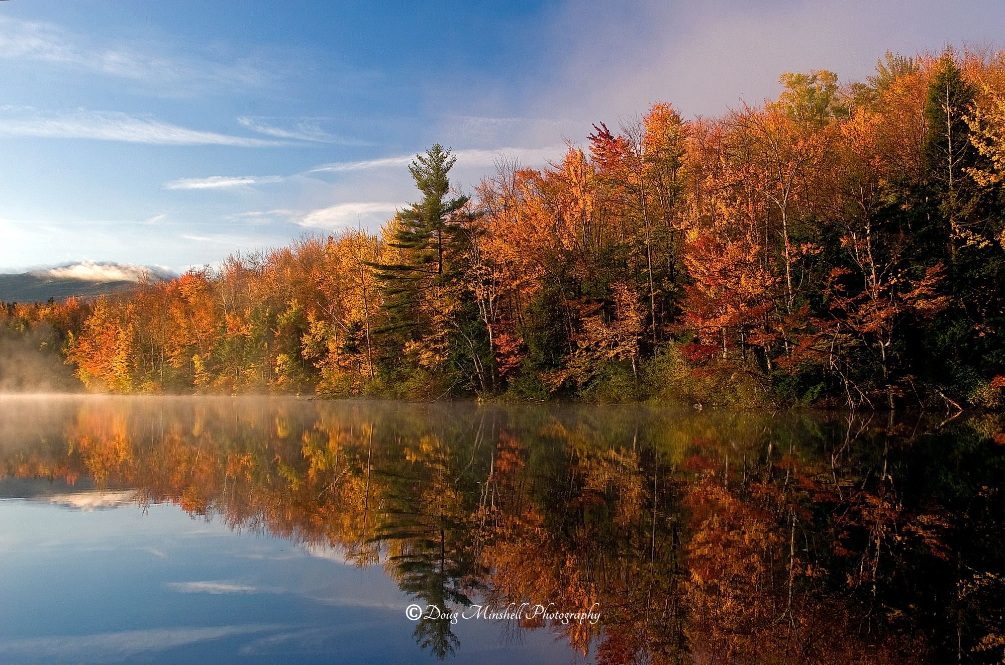 Color and Mist