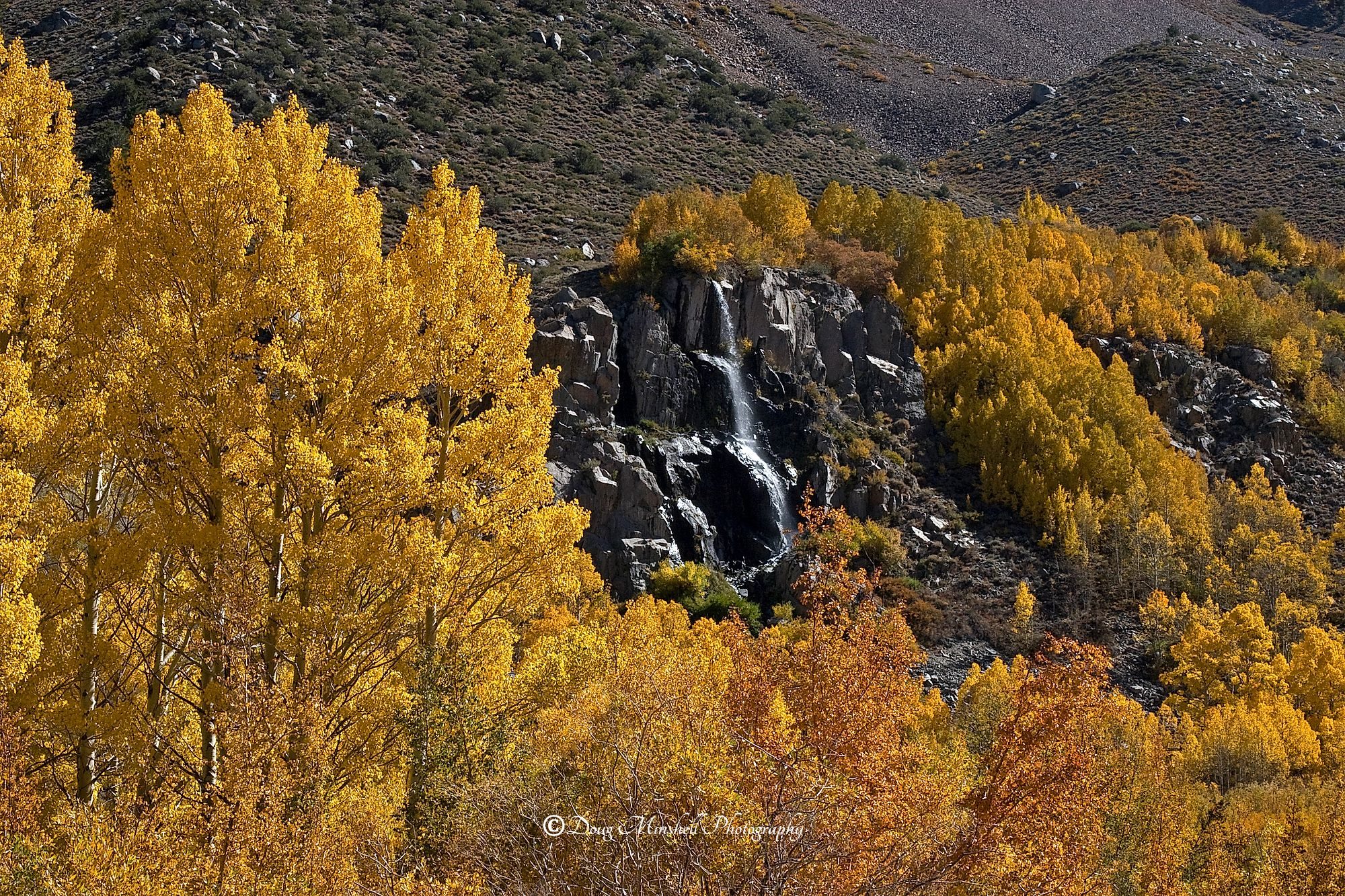Aspen Waterfall