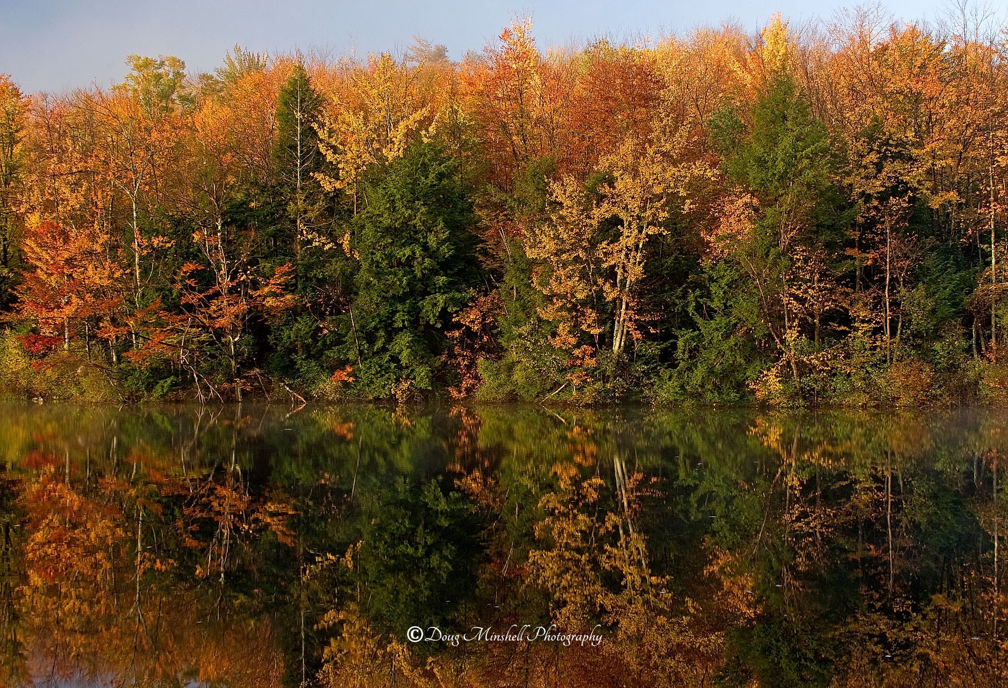 Fall Reflection