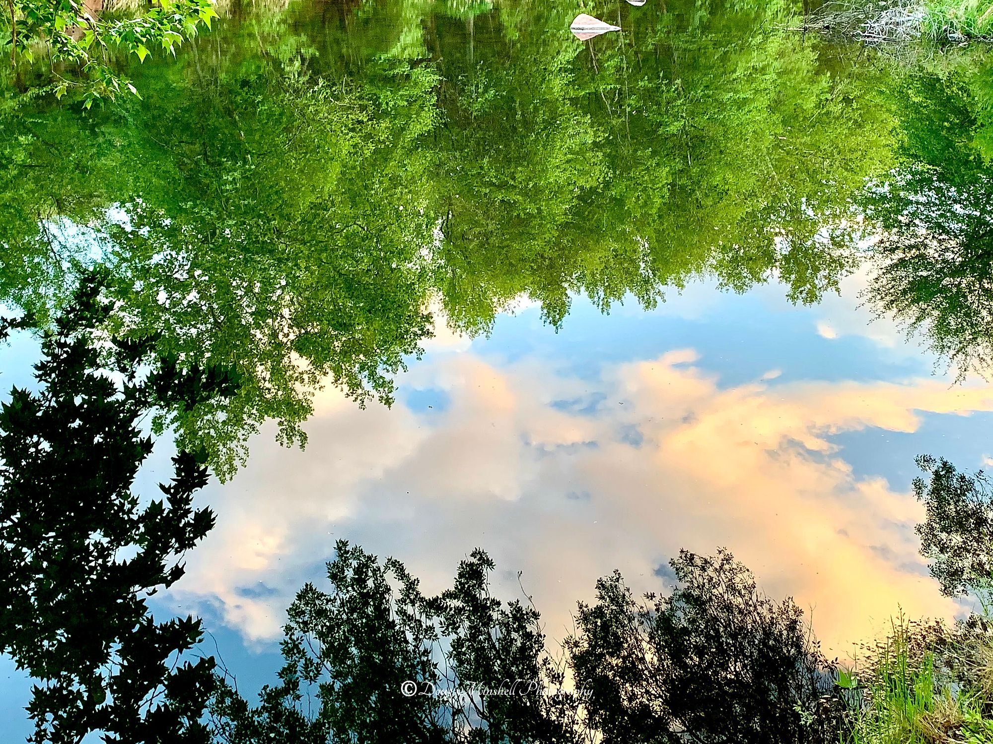 Oak Creek Reflection