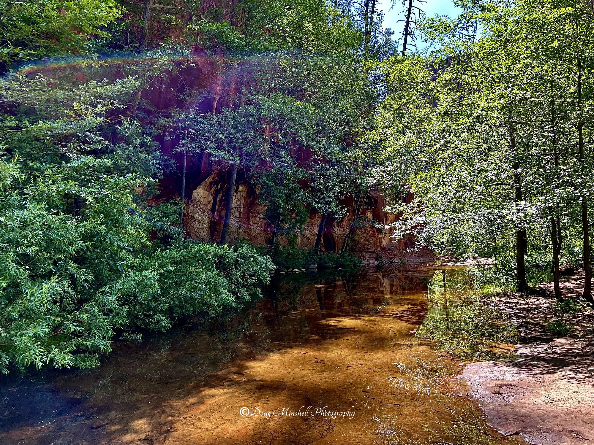 Oak Creek Mirror