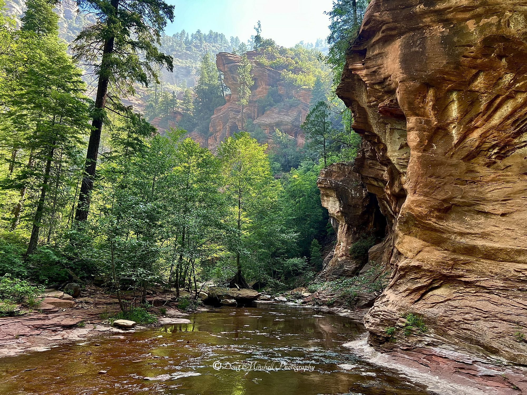 West Fork Transition