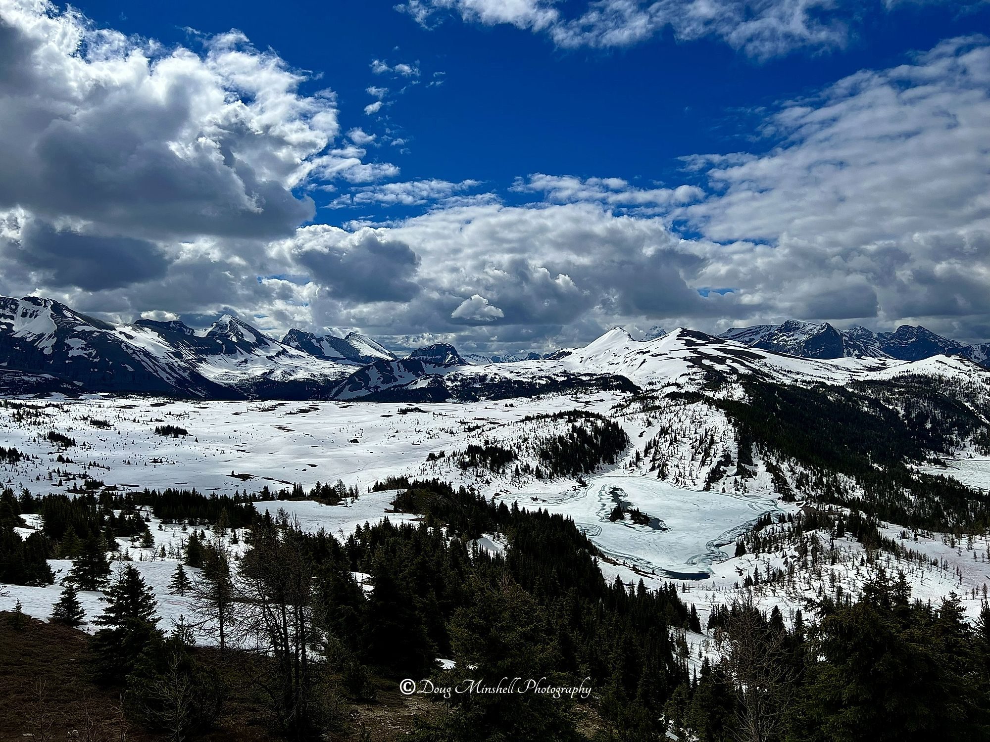 Sunshine Meadows View