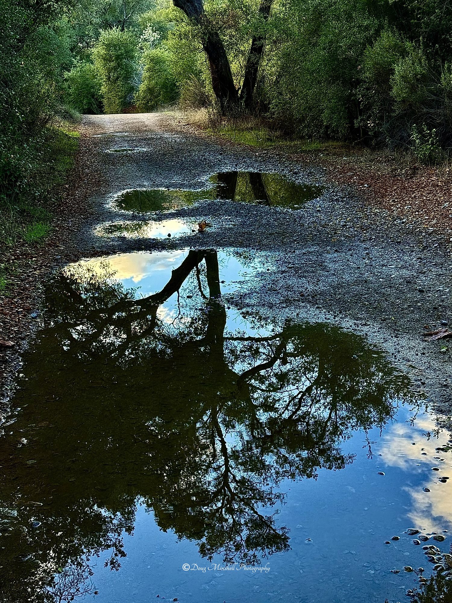 Blue Sky Reflection
