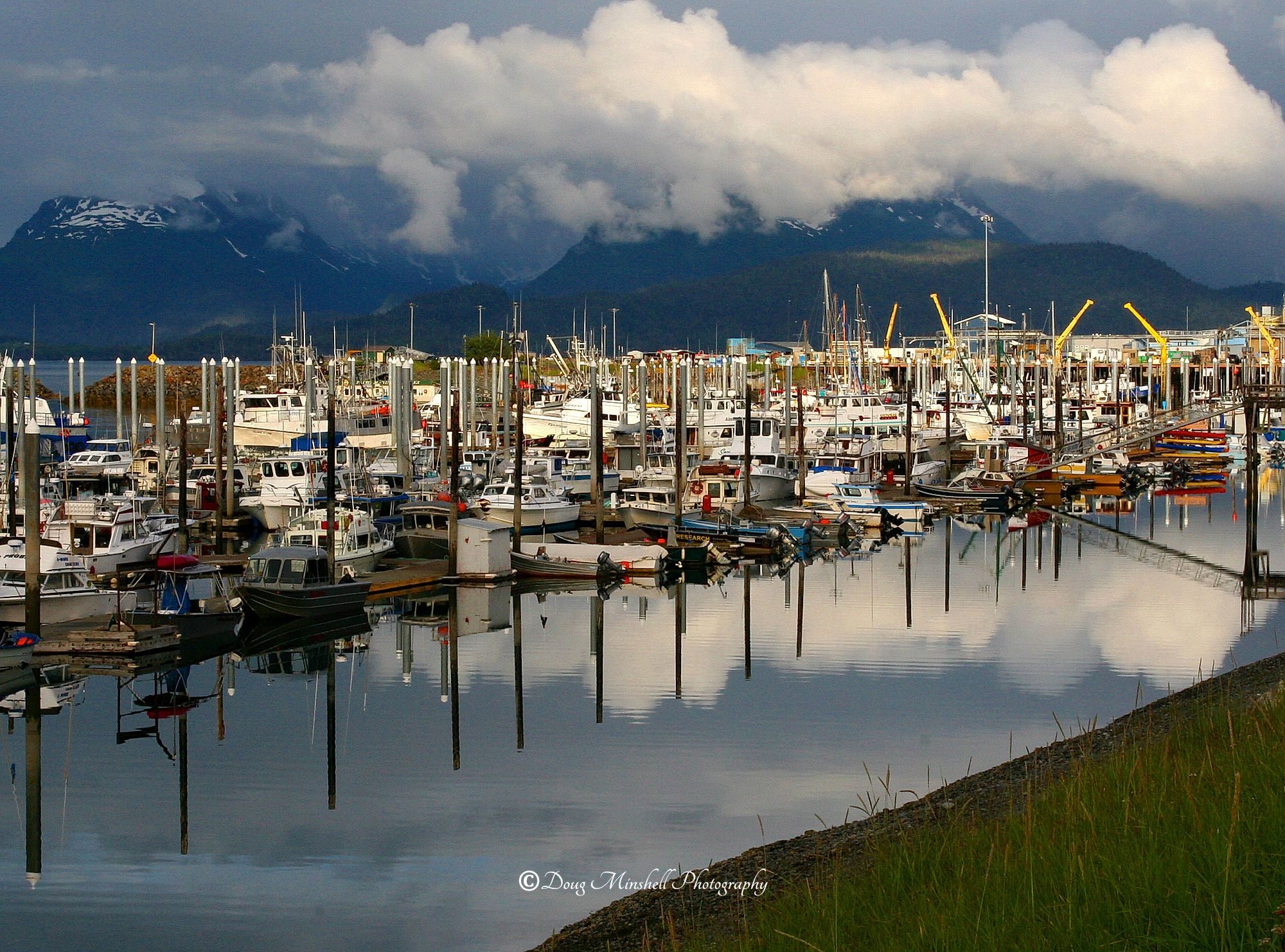 Homer Harbor