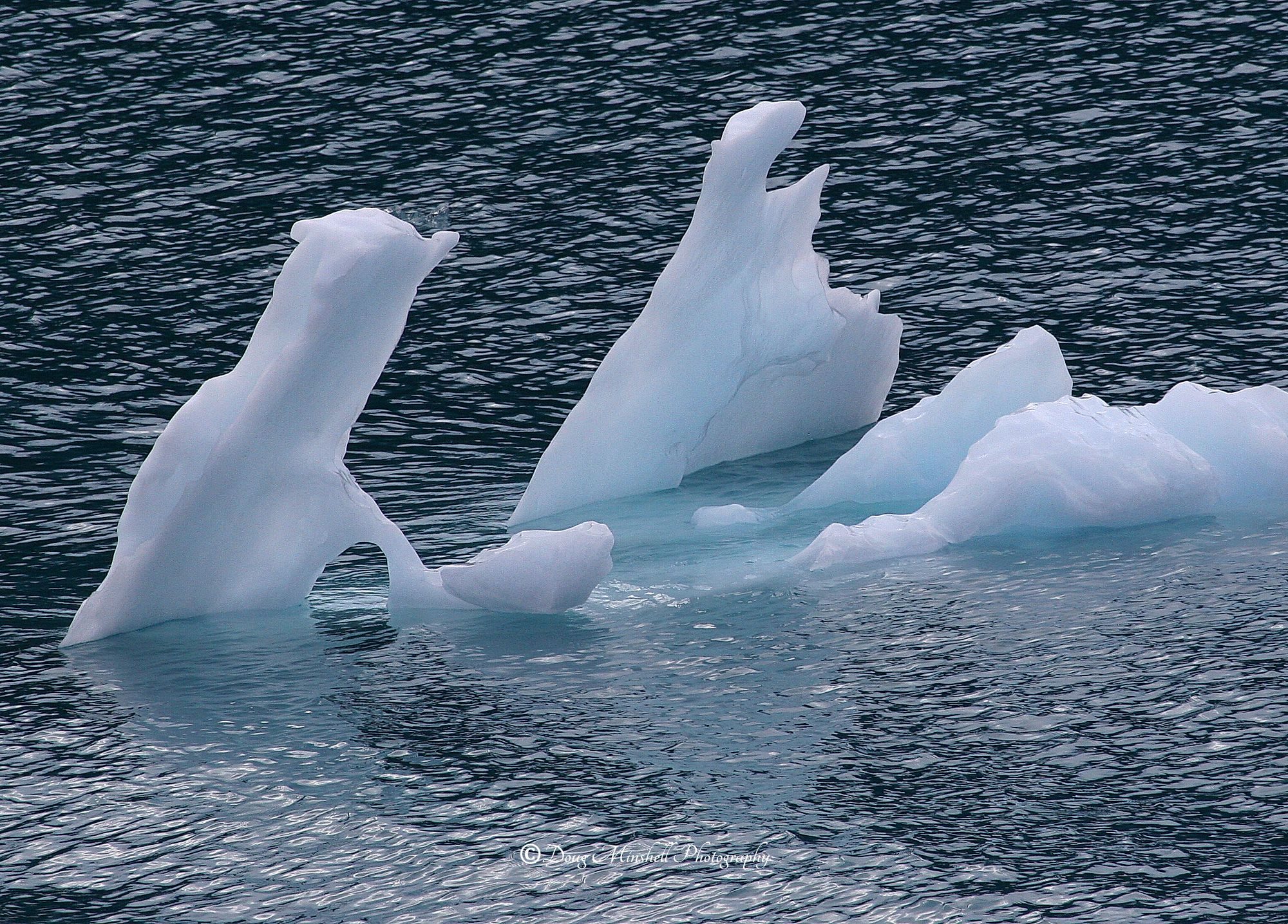 Ice Sculpture