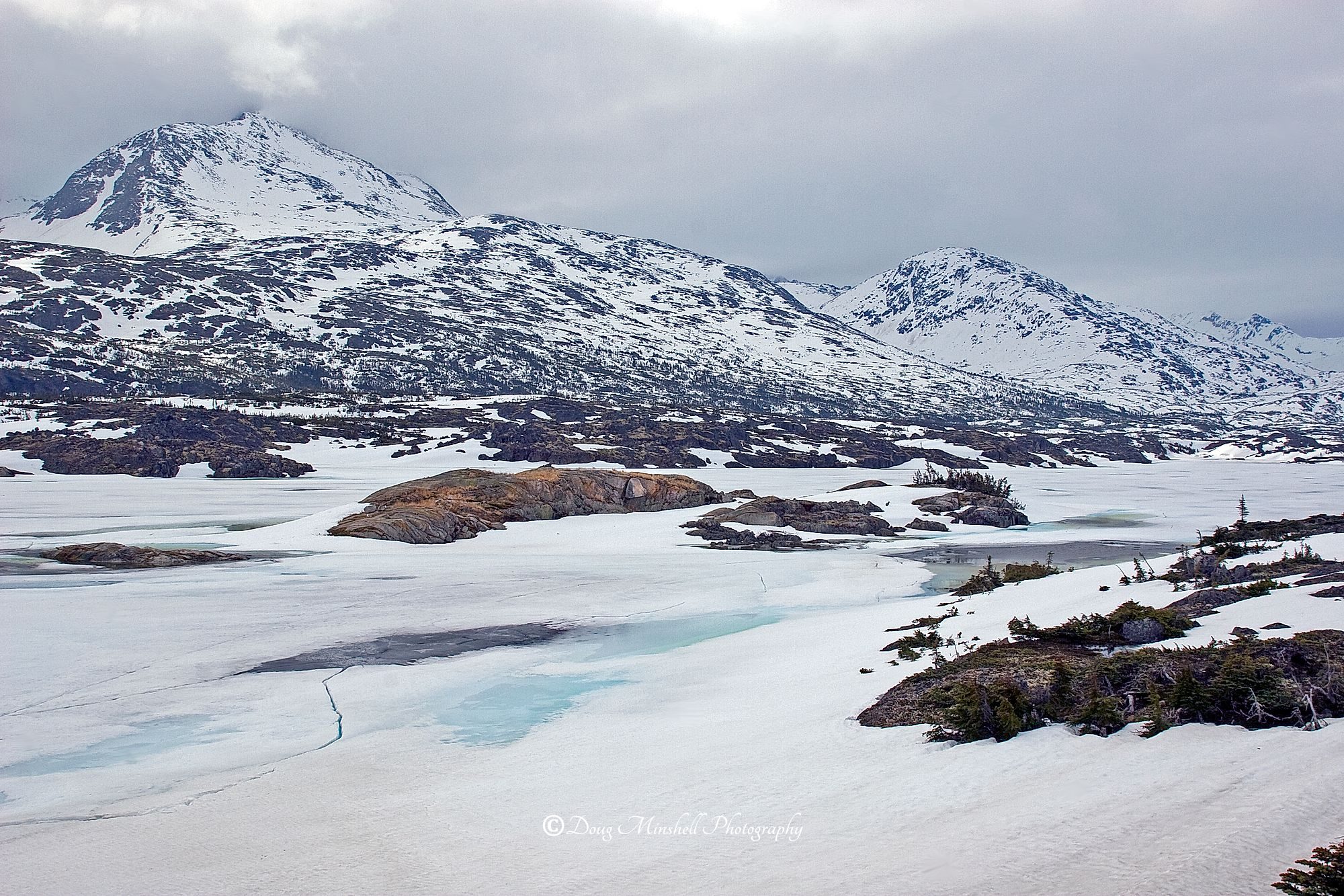 Frozen North