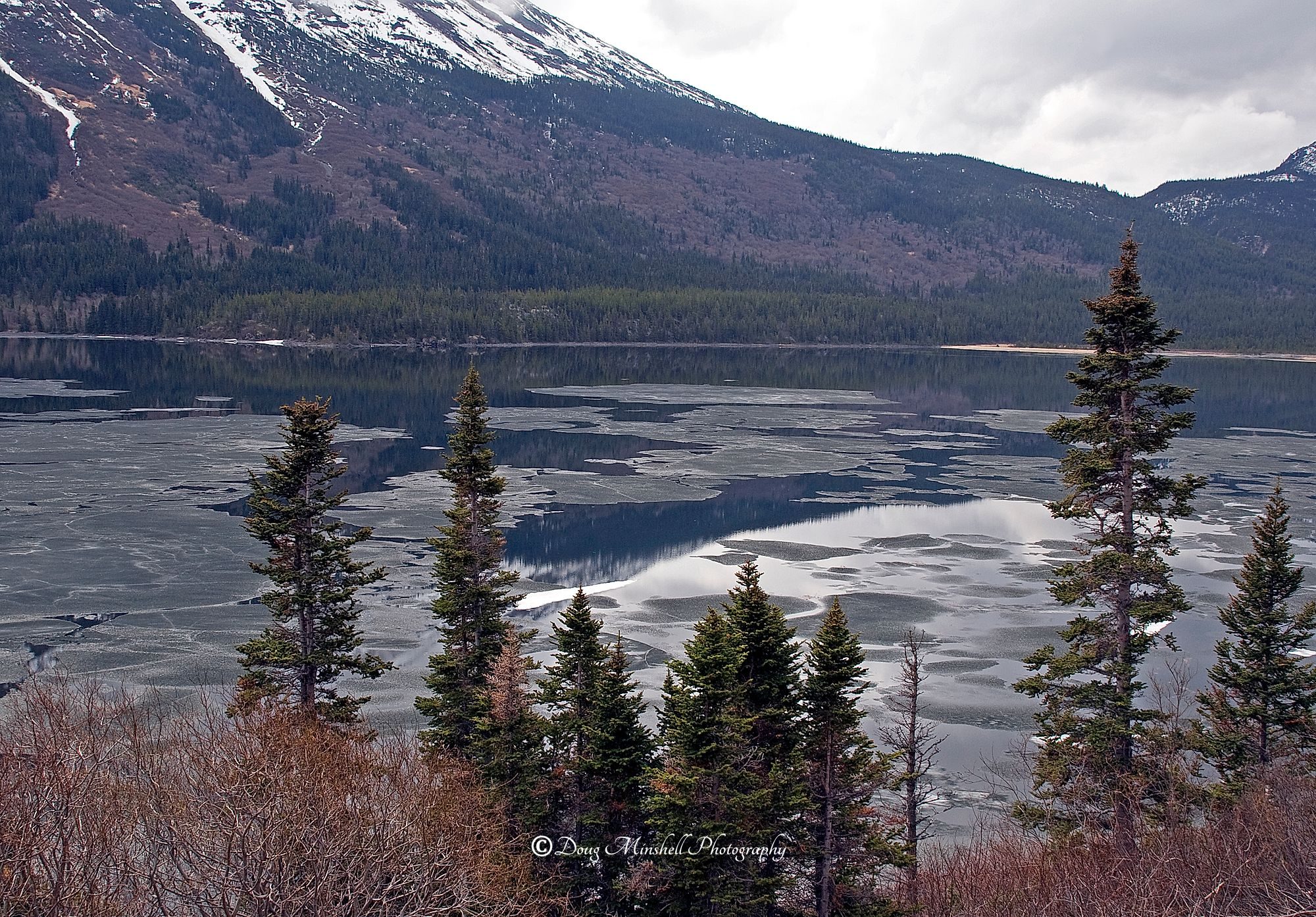 Tutshi Lake Overlook