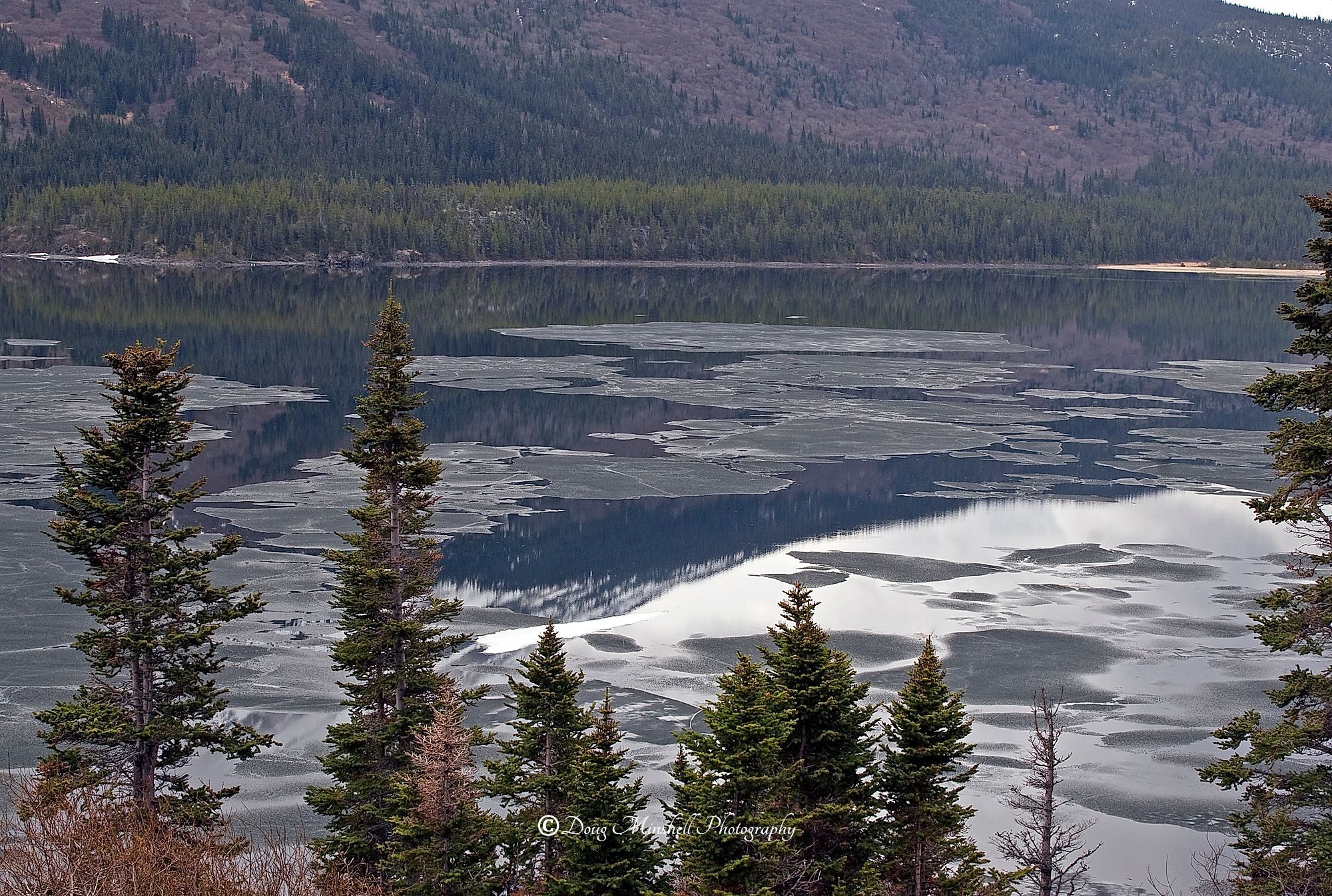 Tutshi Lake Overlook...Closer