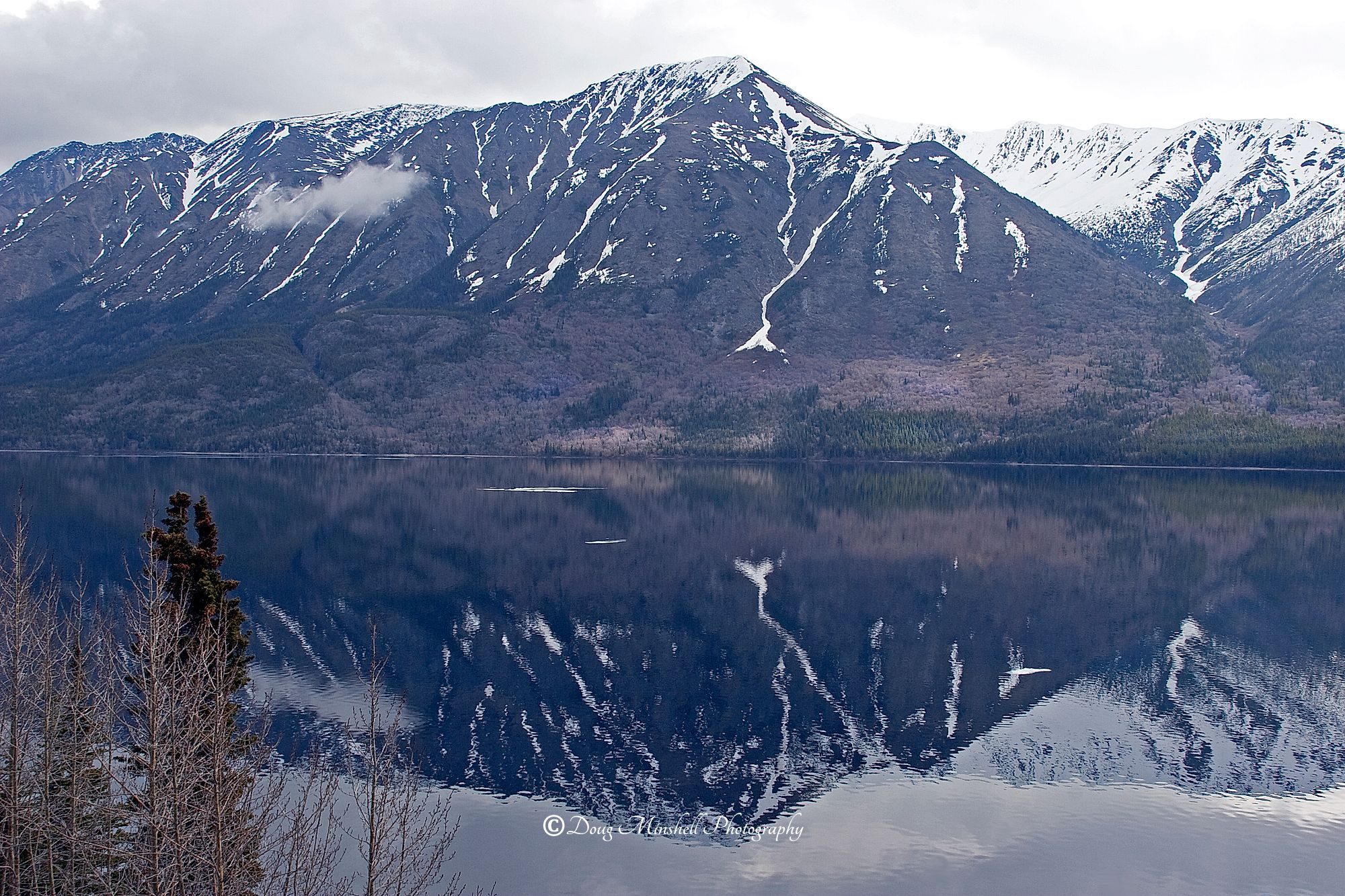 Tutshi Lake Reflection