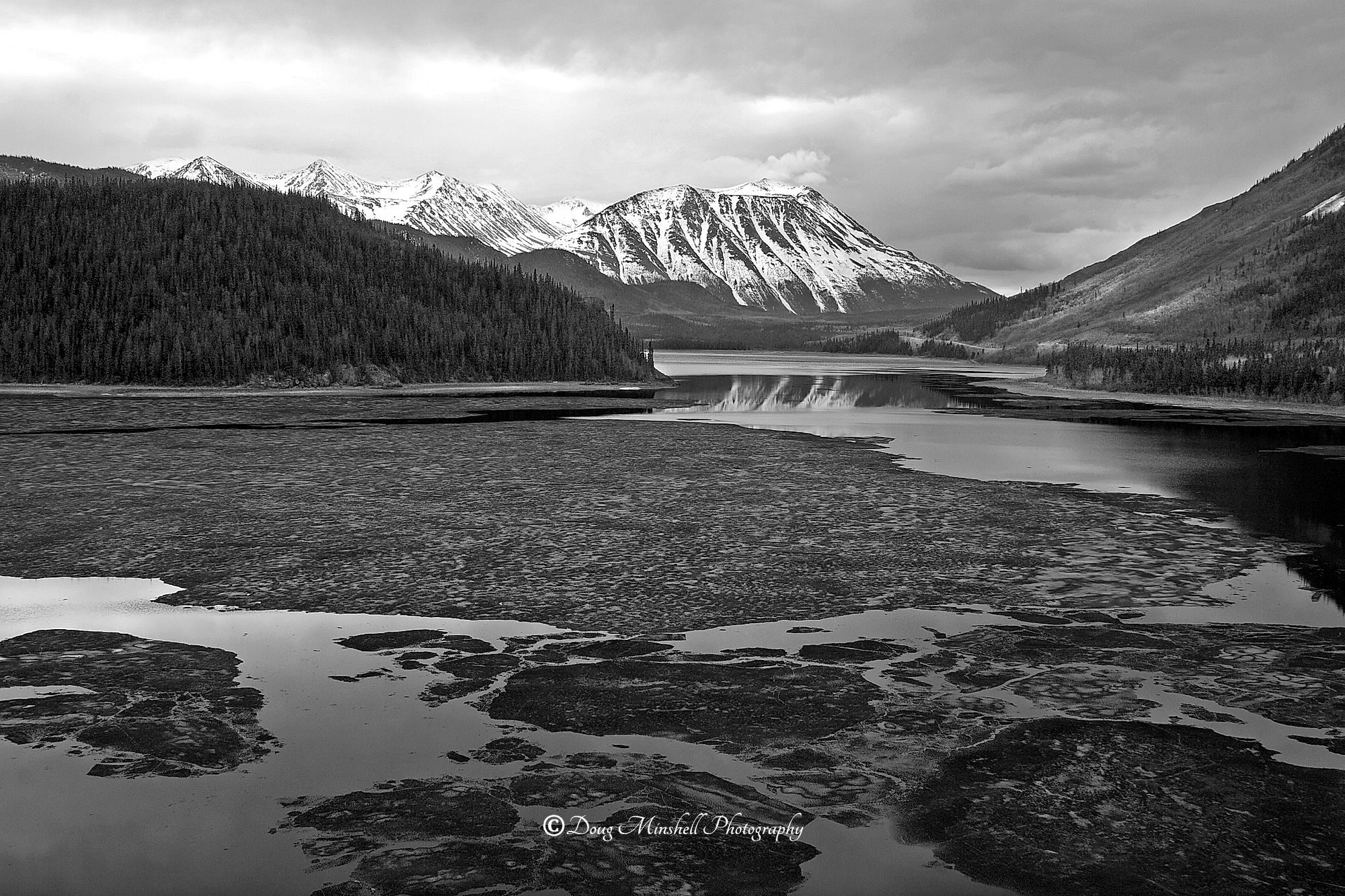 Beauty of the Yukon (B&W)