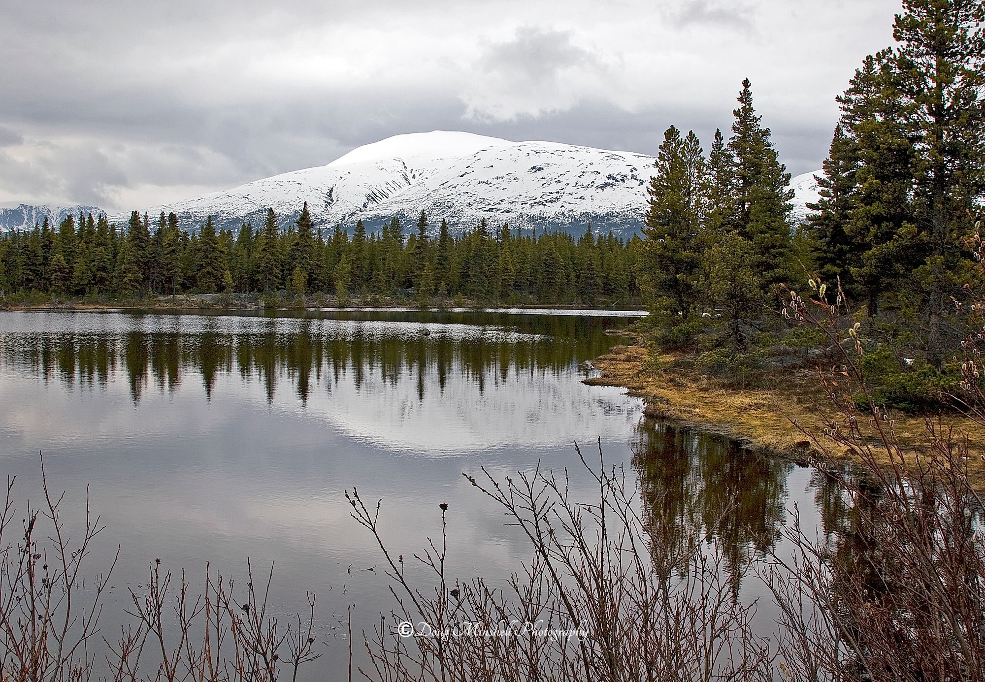 Klondike Beauty