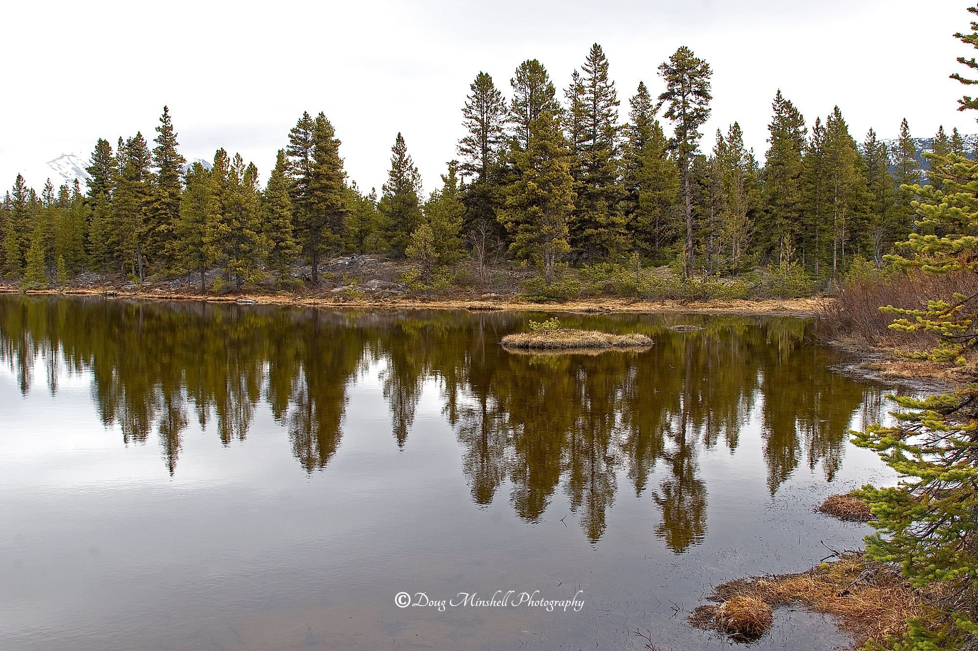 Mirrored Lake