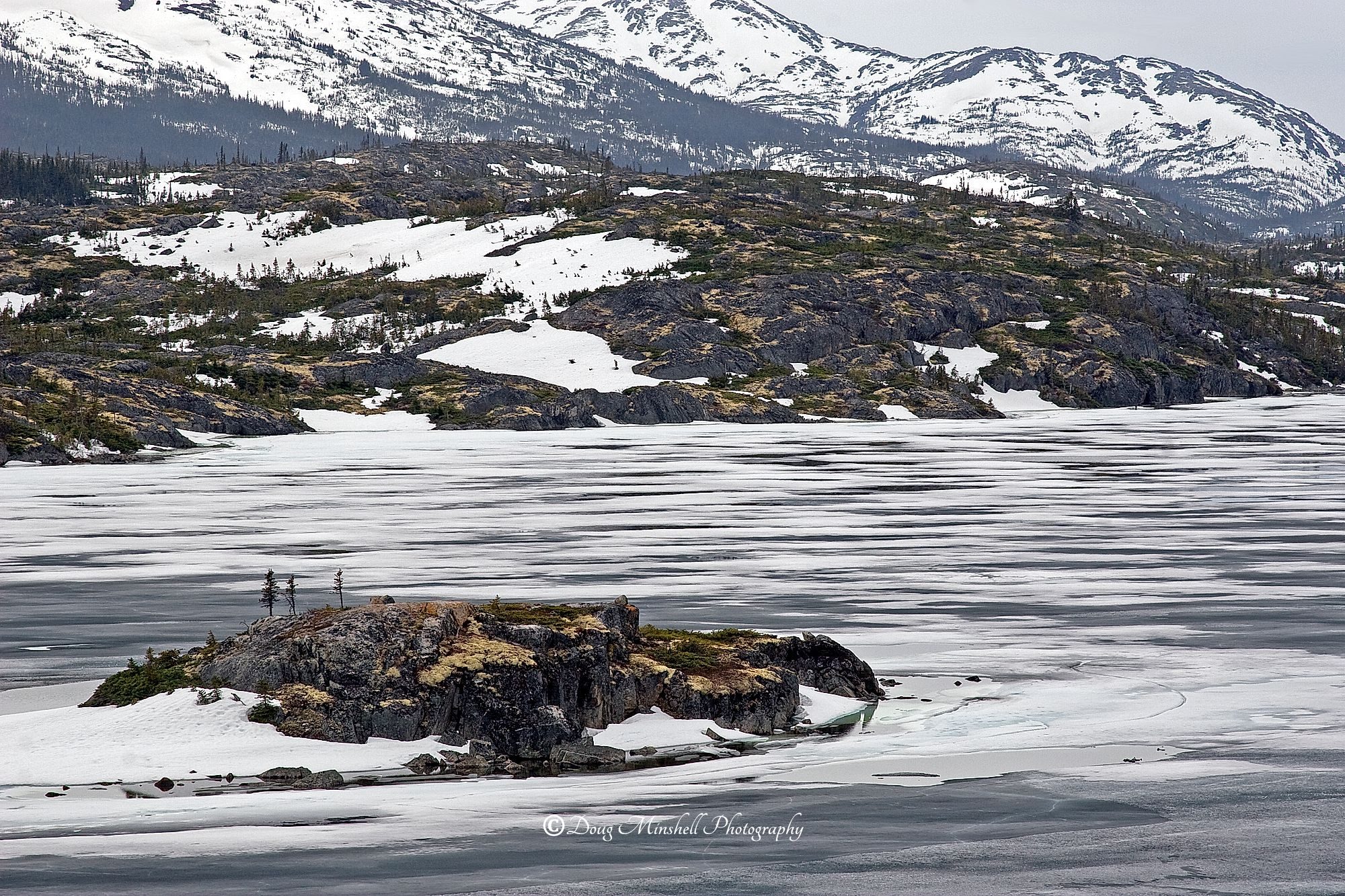 Island in the Ice