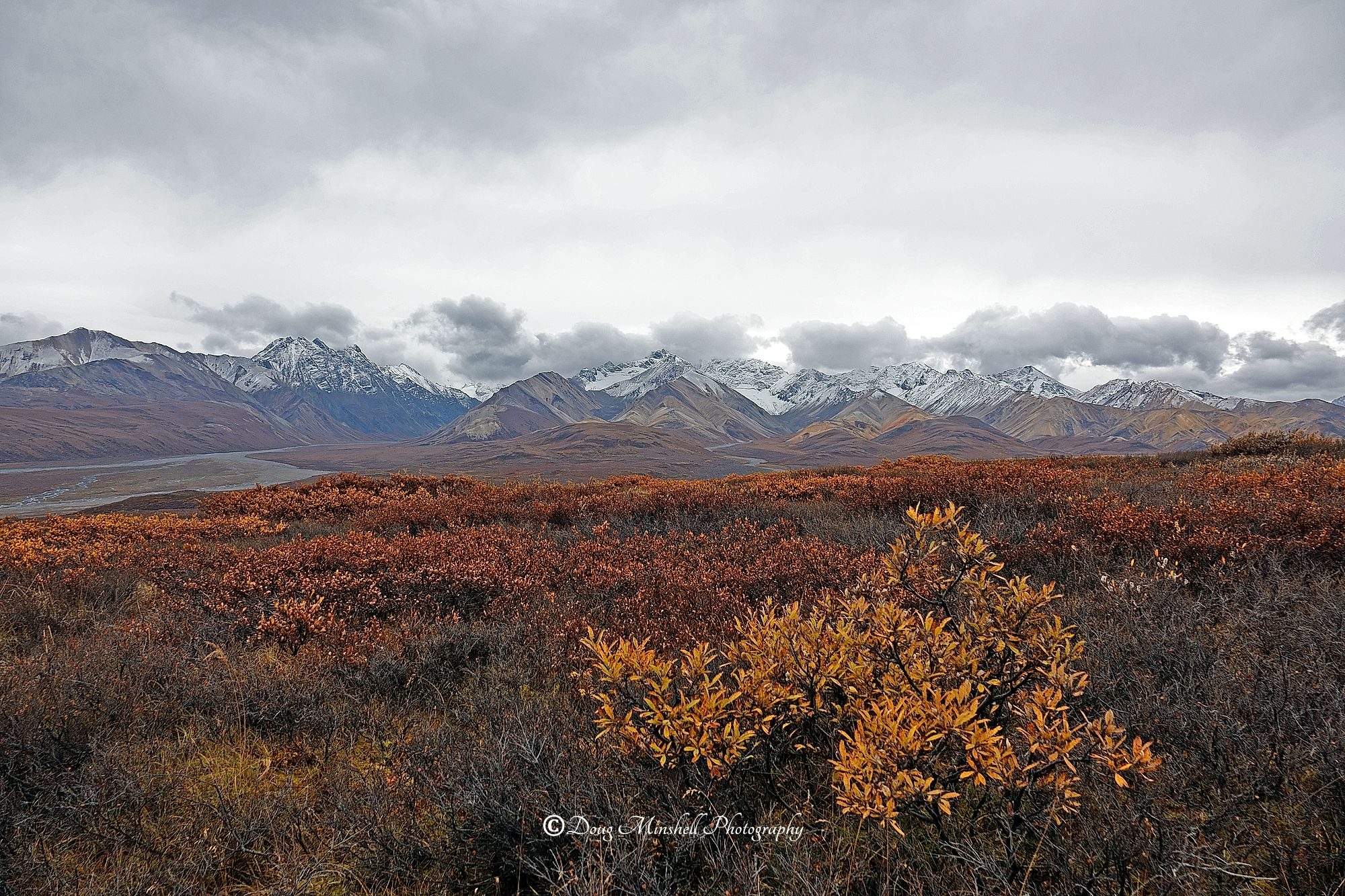 Autumn in Denali