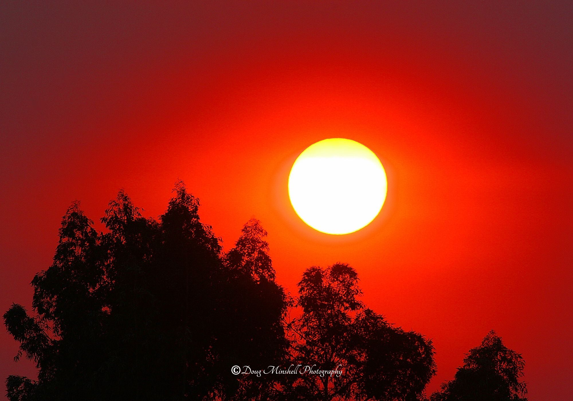 Fire Sky