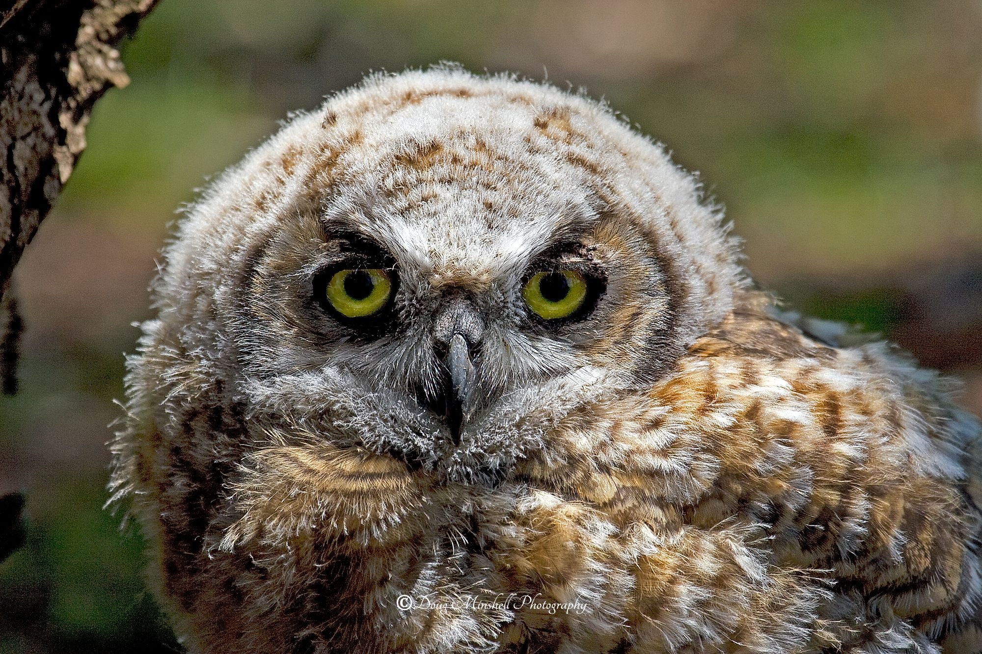 Pretty Eyes