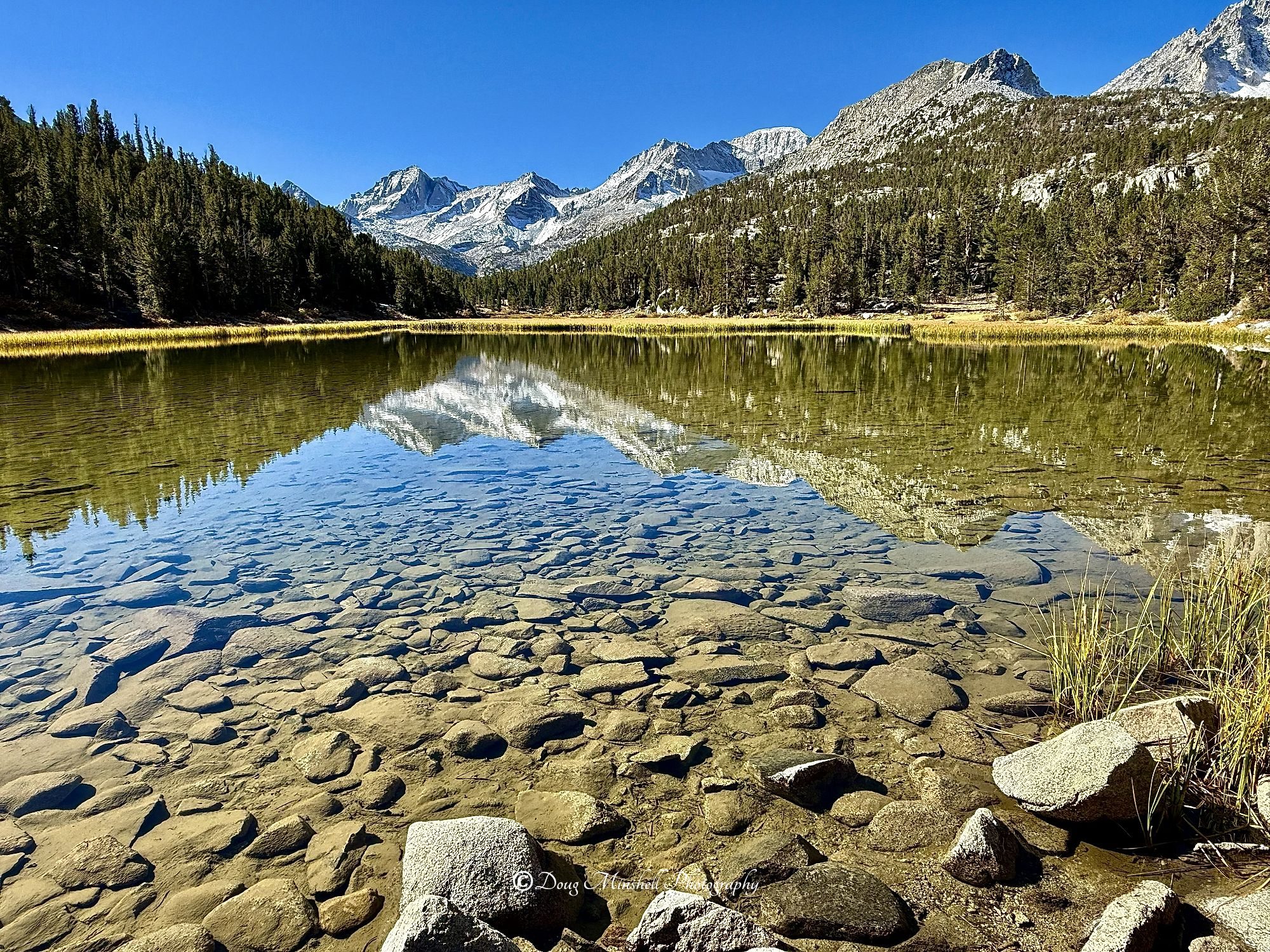Marsh Lake Solitude