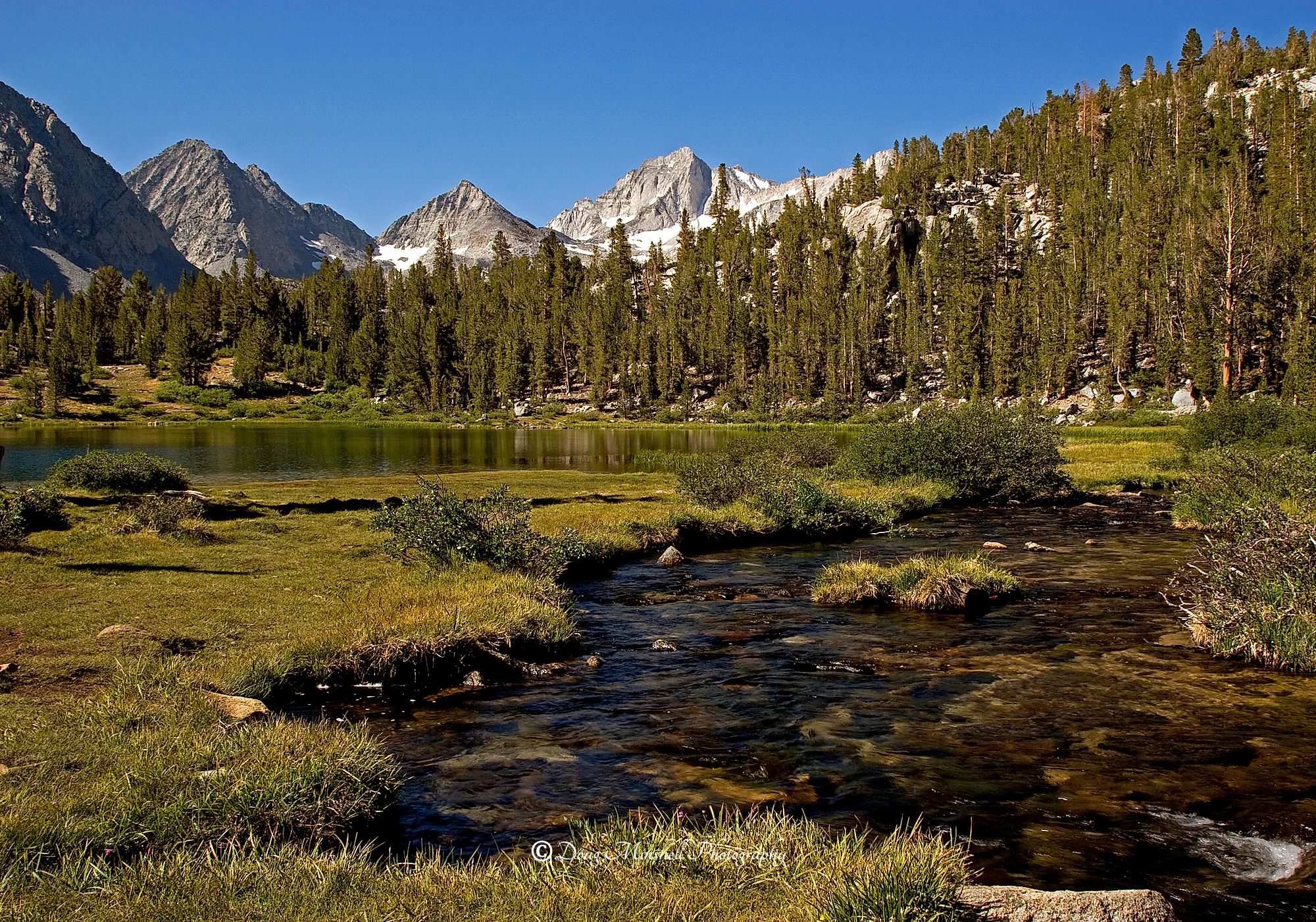 Babbling Brook