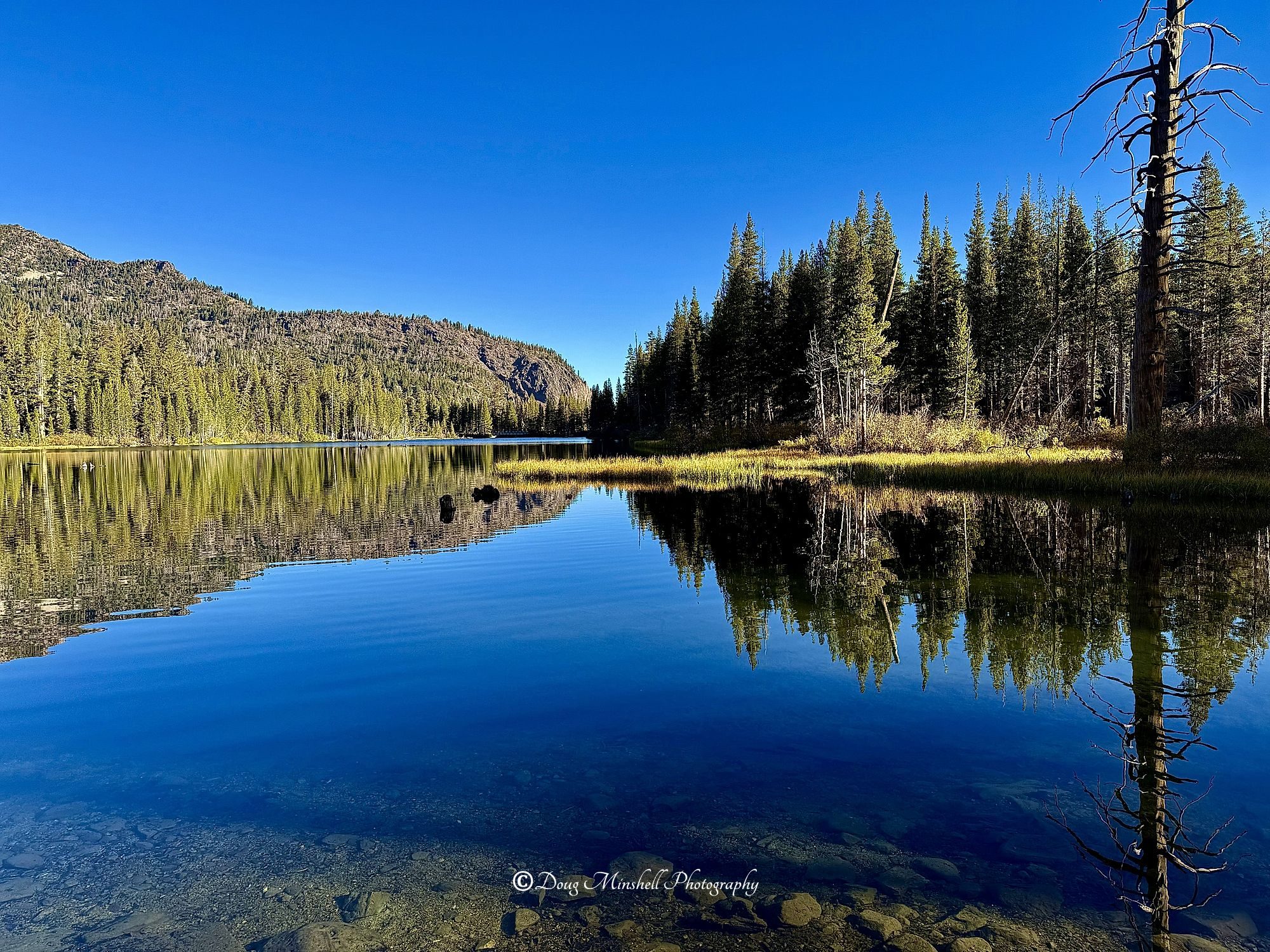 Lake Mamie Reflection