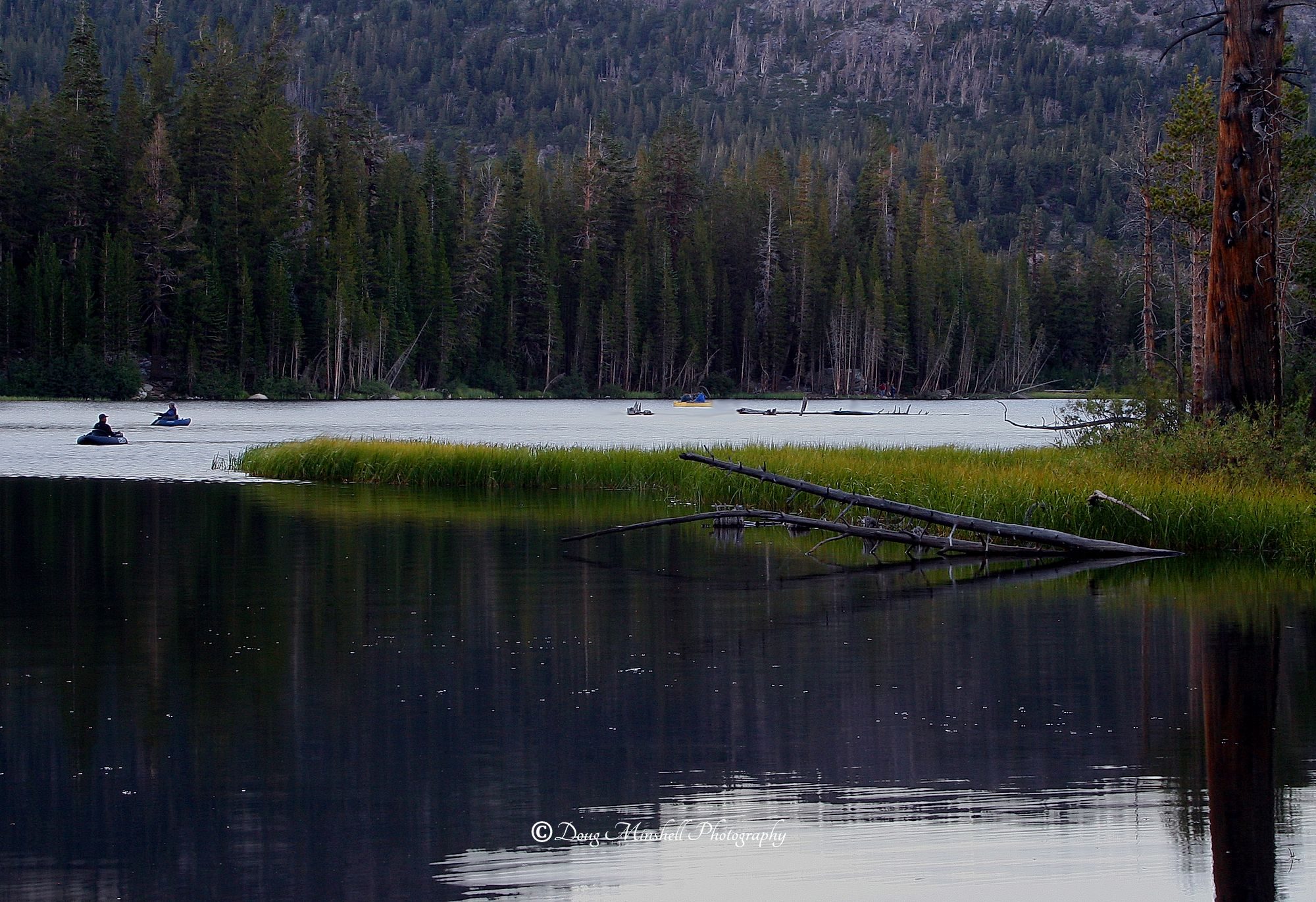Evening Fishing