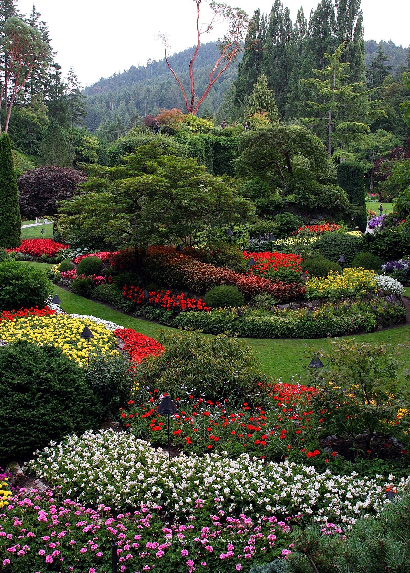 Sunken Garden