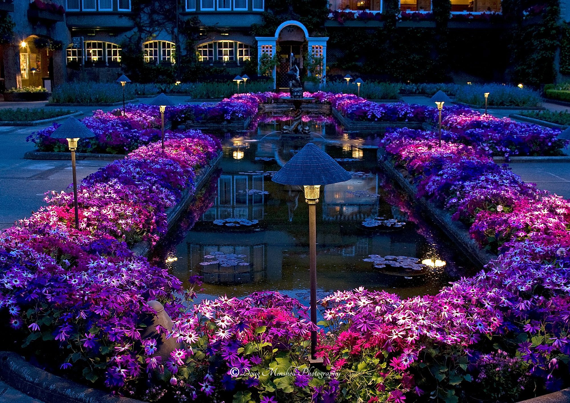 Italian Garden at Night 2